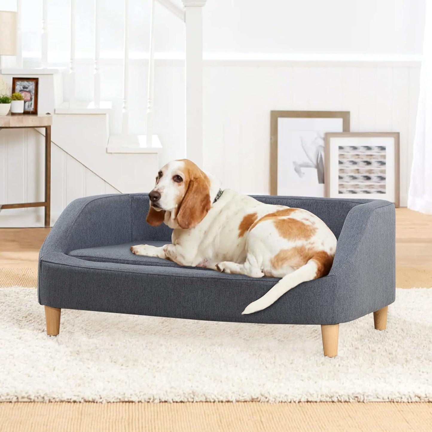 37" Pet Sofa Bed, Dog Sofa, Cat Sofa, Cat Bed, Pet Bed, Dog Bed, Cat Bed, Rectangle Pet Sofa with Detachable Cushion/Elegant Wood-Like Foot, Comfortable and Safe Pet Sofa (Gray)