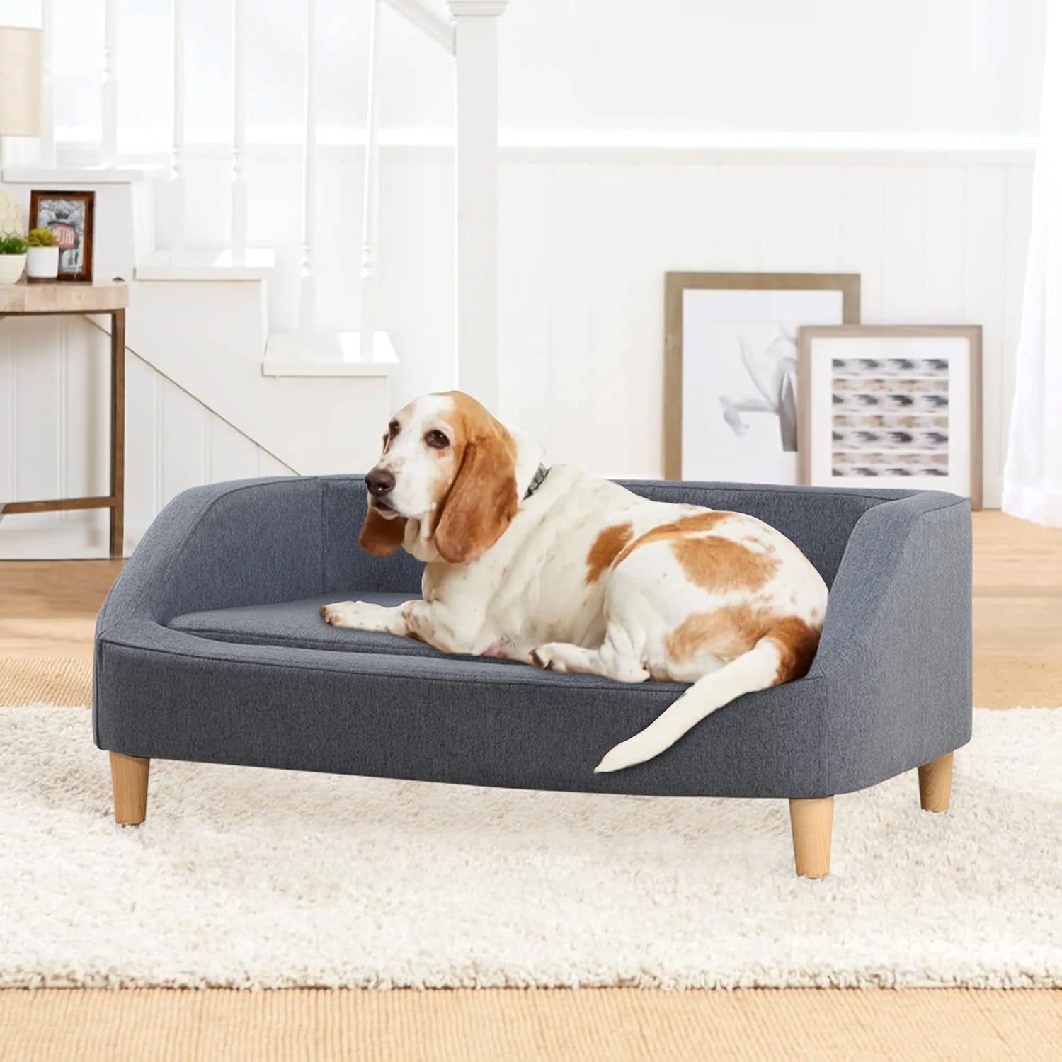 37" Pet Sofa Bed, Dog Sofa, Cat Sofa, Cat Bed, Pet Bed, Dog Bed, Cat Bed, Rectangle Pet Sofa with Detachable Cushion/Elegant Wood-Like Foot, Comfortable and Safe Pet Sofa (Gray)